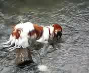 �����ƗV�т����`�B