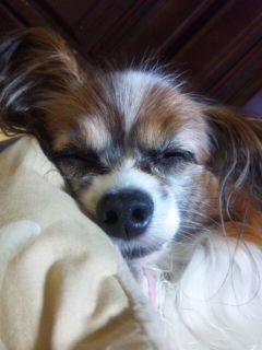 �R�R�A��������