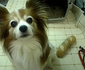 �N���I�����