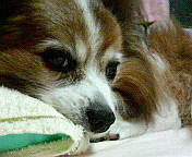 ���������I�I