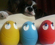 ���܂������