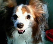 �����͂ۂ��ۂ�������