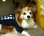 ���a����