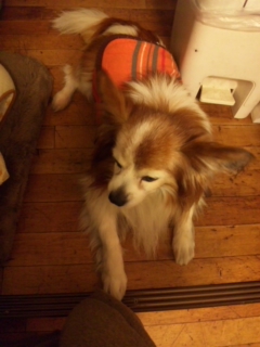 �N�����`