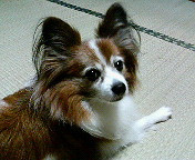 �N���I�ł�