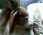 �N���I�����