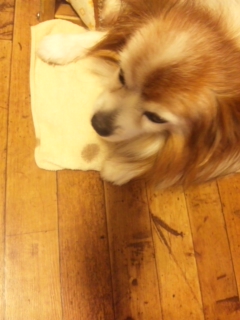 �N���I�����