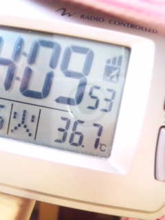 �������̕����̉��x