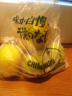 ���������܂����`