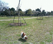 ���U����