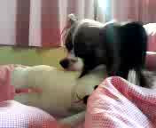 �������B