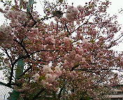 ���d���@���̂����B