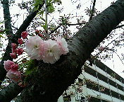 ���d���@���̂ɁB