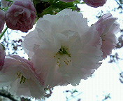 ���d���@���̂���B