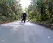 �y��򒩂��̂Ɂ`