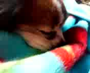 ���ꂨ������