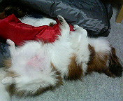 �����͊�����ˁ`