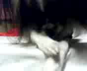 �R�R�A����