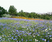 ���a�L�O����