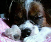 �����Q��