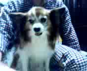 �N���I�I������I