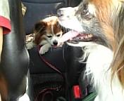 ���U���s���Ă��܁`���I