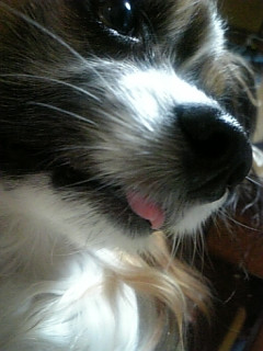 �オ�ł��Ⴄ�̂ł���