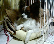 ������...