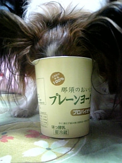 ���[�O���g��D��