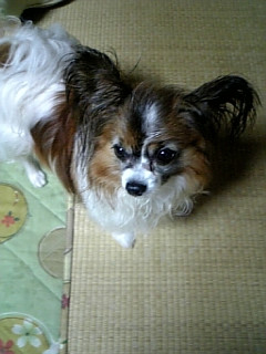 �т���т���