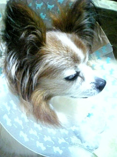 ���������撣�낤��