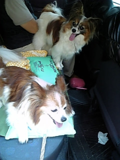 �a�@���ԑ҂����`