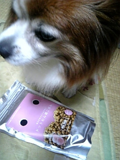 �������є����Ă݂܂���