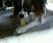 �R�R�A����