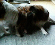 ��������