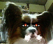 �|�������`