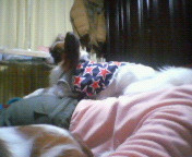 �ǂ��ɏ���Ă�񂾁`�I