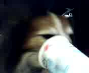 �{�N�̃��[�O���g