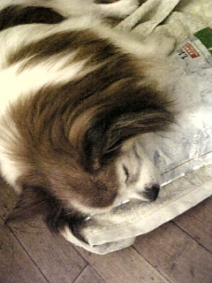 ��������B